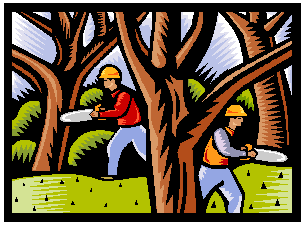 Hunter Tree Service